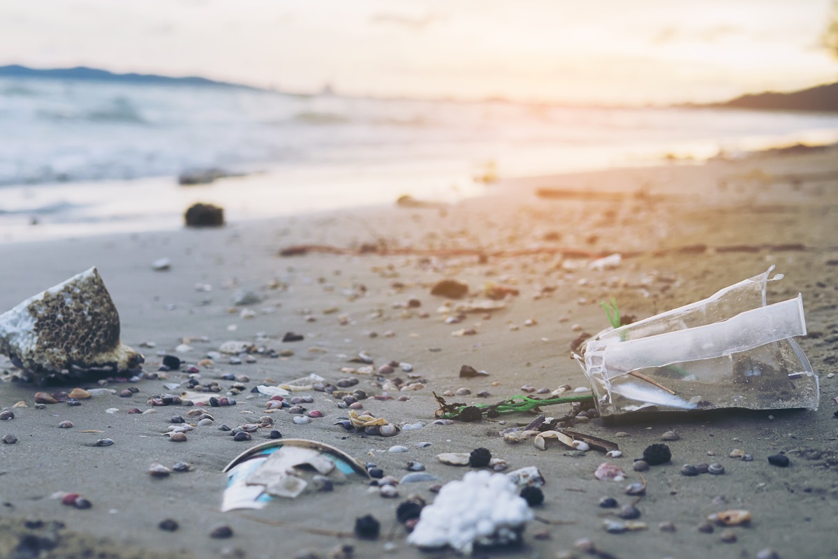Разлагается ли «биоразлагаемый пластик»? Как с ним обращаться и чем его заменить